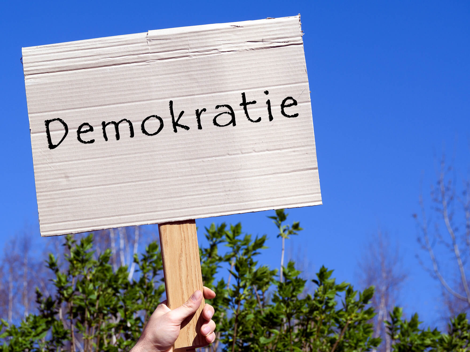 Seit Mitte Januar gibt es bundesweit und auch im Kreis Heinsberg eine Bewegung gegen rechtsextreme Kräfte und für Demokratie. Foto: iStock/Animaflora