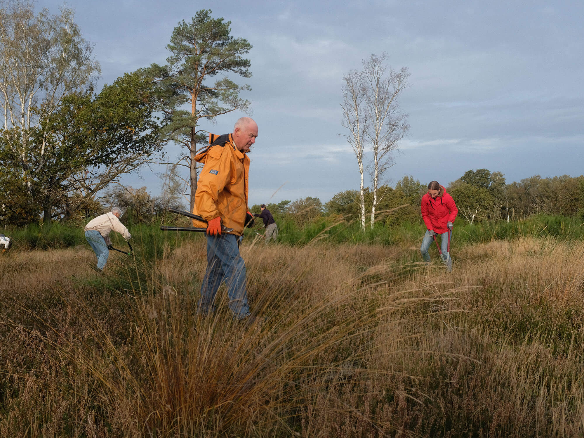 Staatsbosbeheer und der Naturpark Maas-Schwalm-Nette laden zum Natuurwerkdag ins Naturschutzgebiet De Meinweg ein. Foto: J. Scheelings