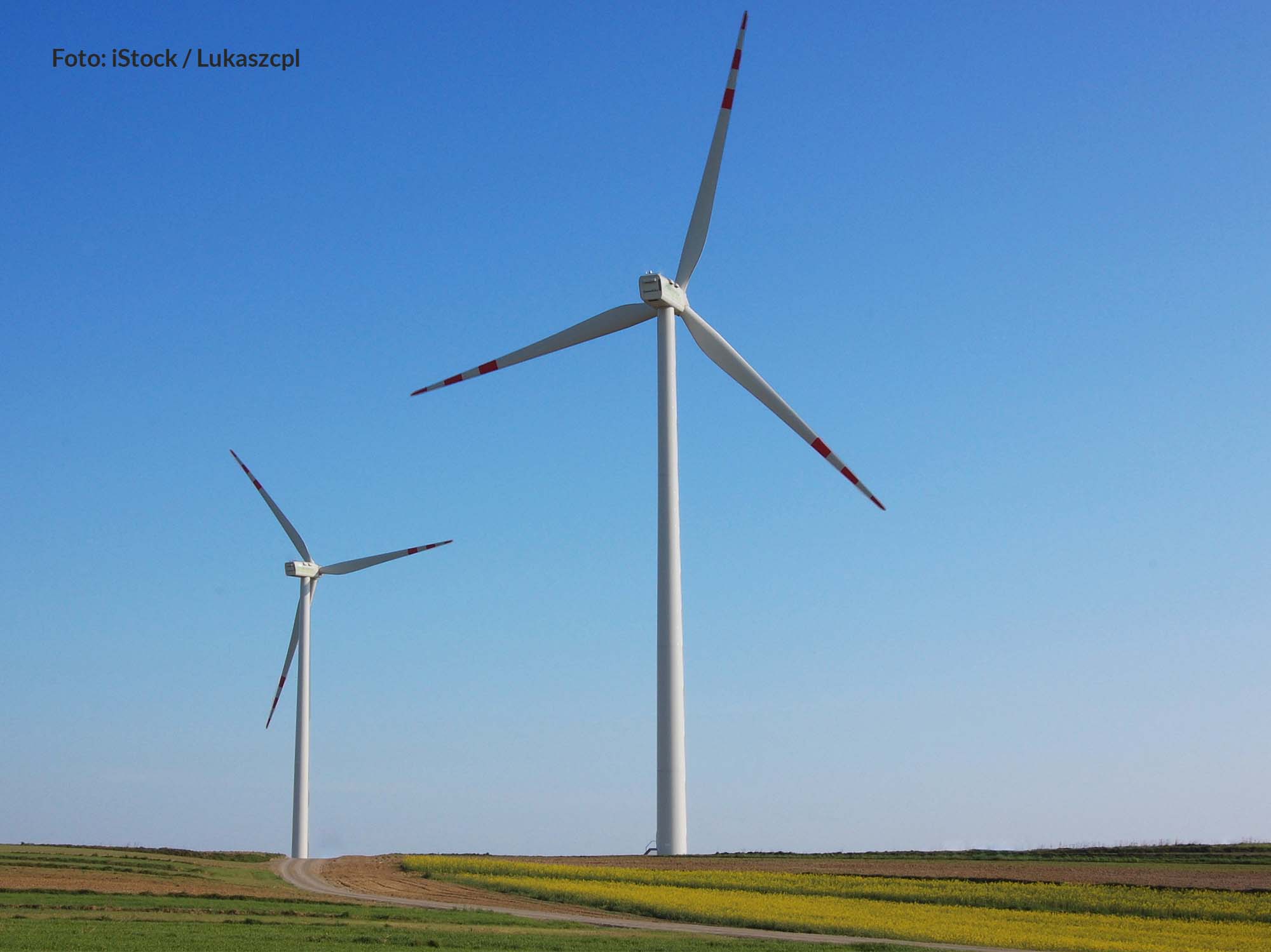 Das Bild zeigt Windräder in der Natur
